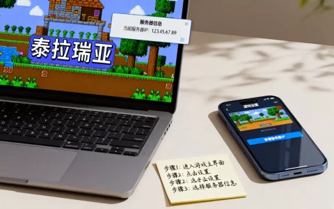 泰拉瑞亚服务器IP地址如何查看，详细步骤有哪些？