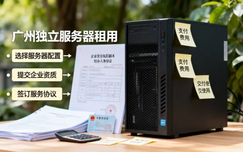 广州独立服务器租用申请流程是什么，如何快速办理？