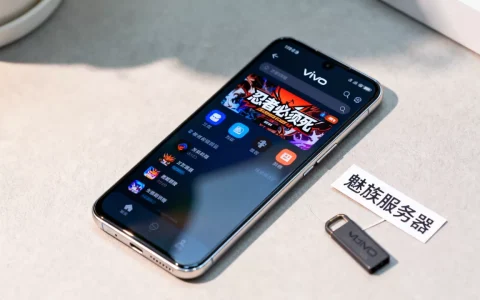 忍者必须死魅族服务器vivo手机能下载吗，怎么办？