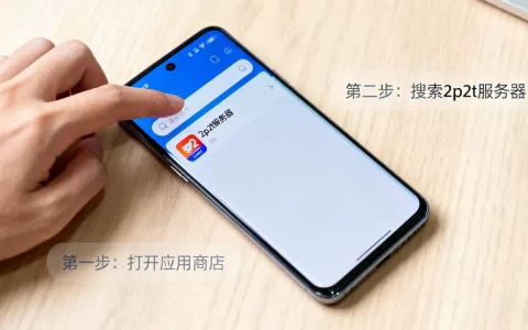 2p2t服务器手机版怎么玩，手机版怎么下载？