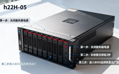 h22h-05服务器怎么恢复出厂，重置步骤是什么？