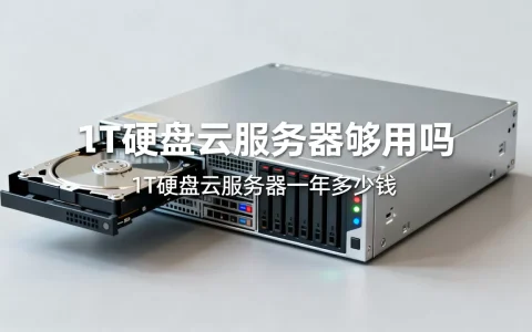 1T硬盘云服务器够用吗，1T硬盘云服务器一年多少钱？