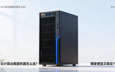 云计算出租服务器怎么选？，哪家便宜又稳定？