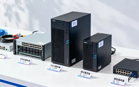 数字平台服务器都有哪些类型，怎么选性价比最高？