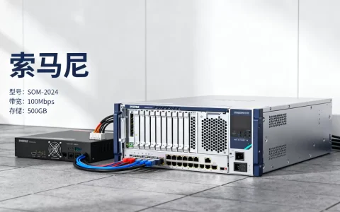 索马里的服务器有哪些选择？，怎么选性价比高