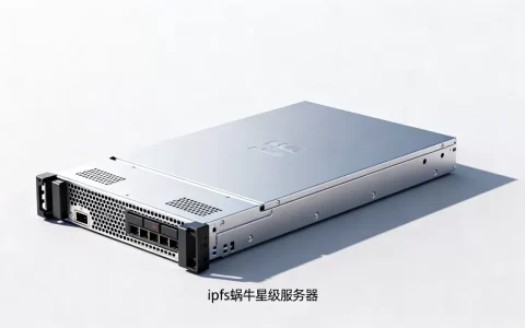 ipfs蜗牛星级服务器多少钱一台？,价格贵不贵