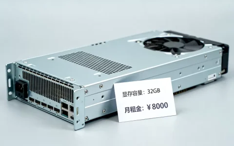 上海GPU服务器租用对比时该看哪些方面，多少钱一个月？