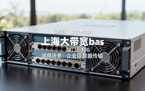 上海大带宽服务器带宽怎么定？,带宽选多少合适