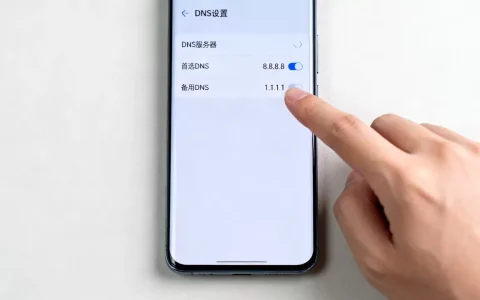 手机DNS正确的服务器到底是多少？,怎么设置才最快最安全？