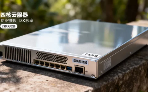 四核云服务器多少钱，哪个品牌性价比更高更划算？
