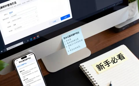 简米云域名服务器IP地址怎么查？新手必看指南，域名解析IP查询方法