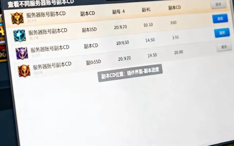 魔兽插件怎么看不同服务器账号副本CD，副本CD在哪里看？
