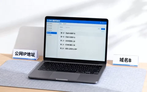 一个公网IP如何绑定两个域名？DNS解析配置步骤详解，域名指向设置方法