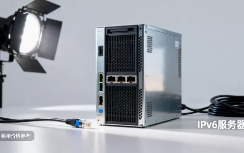 ipv6服务器多少钱一台？,租用价格贵不贵