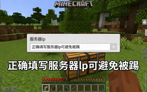 我的世界国际版服务器lp怎么填，防止进服被踢？