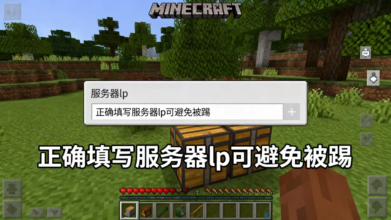 我的世界国际版服务器lp怎么填,防止进服被踢? 我的世界国际版服务器lp怎么填,防止进服被踢?