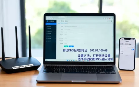 廊坊dns的服务器地址是多少,设置方法有哪些