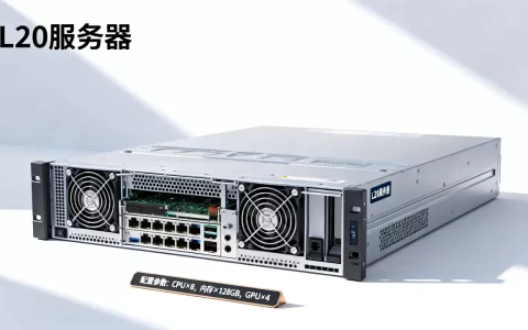L20服务器算力到底有多少？，哪款配置更划算？
