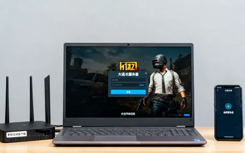 h1z1怎样才能进大逃杀服务器,有什么快速方法