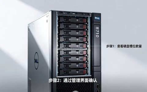 戴尔服务器r710怎么看硬盘数量，有没有快速方法？