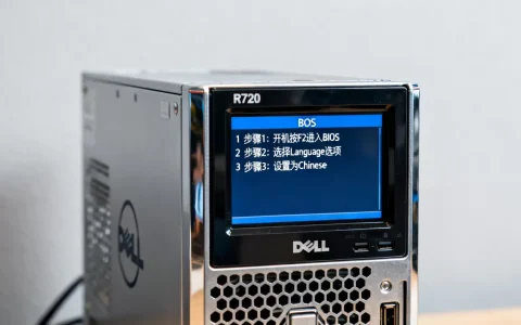 戴尔R720BIOS改中文？，服务器BIOS怎么设置中文？