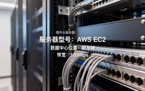 境外云服务器有哪些？哪个便宜好用性价比高