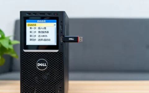 戴尔服务器bios如何改U盘启动格式？，具体步骤是什么？