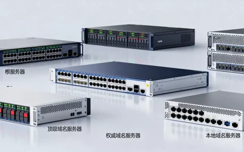 域名服务器的常见类型有哪些？作用分别是什么？
