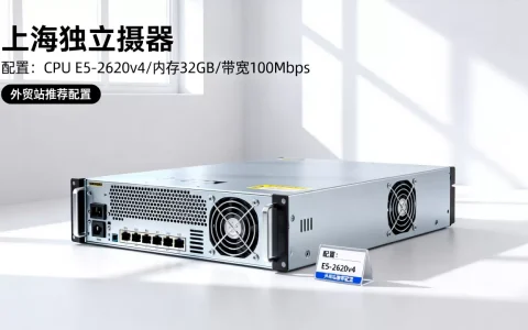 租上海独立服务器放外贸站要注意什么，哪个配置好