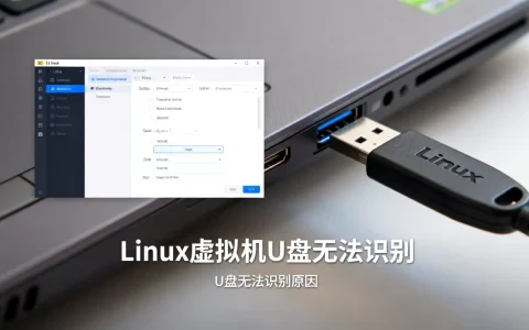 Linux虚拟机U盘无法识别怎么办？虚拟机U盘无法识别是什么原因