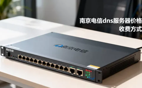 南京电信dns服务器价格是多少？,怎么收费？