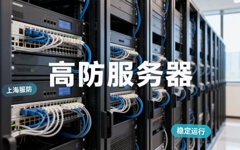 上海高防服务器哪里租更稳定，一个月多少钱？