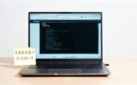 如何查看网页服务器IP和端口号，网站服务器IP端口怎么查？