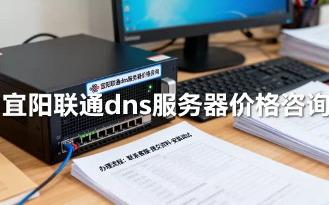 宜阳联通dns服务器要多少钱，怎么办理？