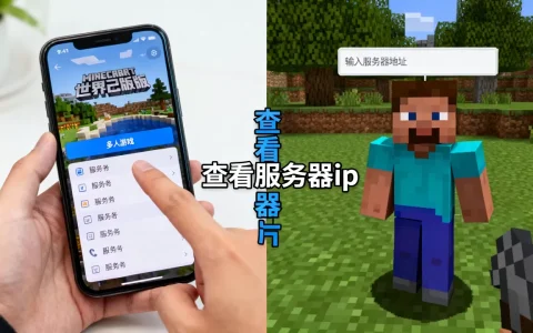 我的世界手机版服务器ip怎么看，怎么进服务器？