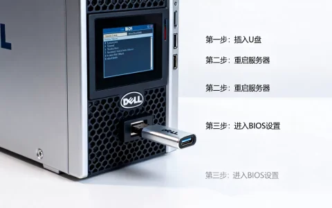 戴尔r520服务器怎么u盘启动，bios设置步骤是什么