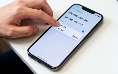 手机谷歌dns服务器怎么设置，dns地址是多少？