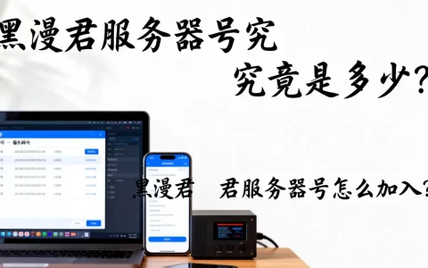 黑漫君服务器号究竟是多少？，黑漫君服务器号怎么加入？