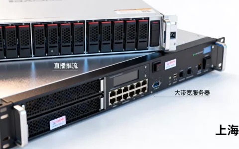 上海大带宽服务器怎么做直播推流，有哪些优势？