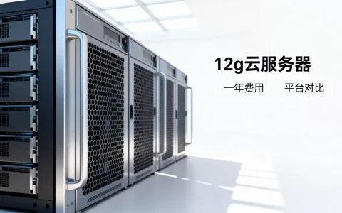 12g云服务器一年多少钱，哪个平台便宜？