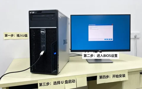 戴尔r730服务器怎样安装操作系统？,u盘安装步骤有哪些？