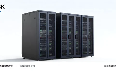请问服务器多少钱一斤，云服务器一年多少钱？