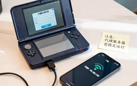 3ds怎么用代理服务器升级系统，有哪些注意事项？