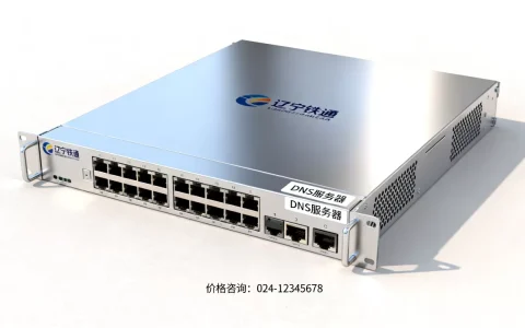 辽宁铁通DNS服务器多少钱一台，价格报价贵不贵？