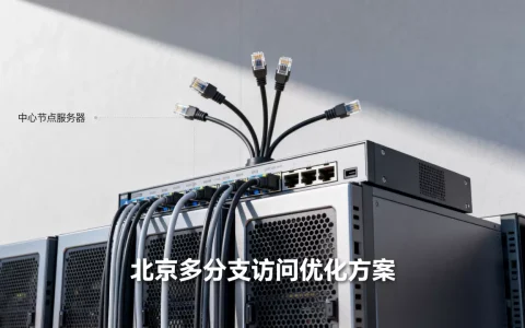 北京多分支访问慢怎么解决，租用中心节点服务器如何汇聚？