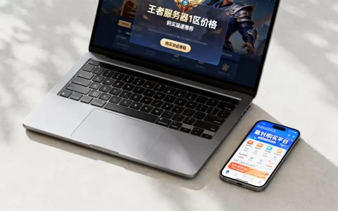 王者服务器1区多少钱，在哪里买最划算？