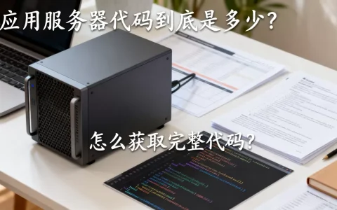 应用服务器代码到底是多少？,怎么获取完整代码？