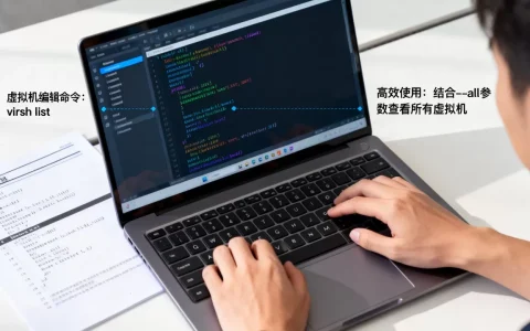 虚拟机编辑命令有哪些？如何高效使用虚拟机编辑命令？