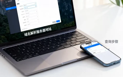 域名解析服务器地址是什么，怎么查在哪里看