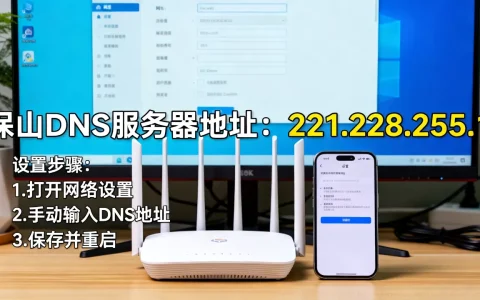 保山DNS服务器地址是多少？,怎么设置最稳定？